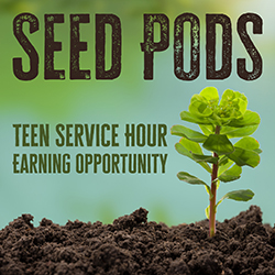 Teen Service Hour Earning Opportunity: Seed Pods