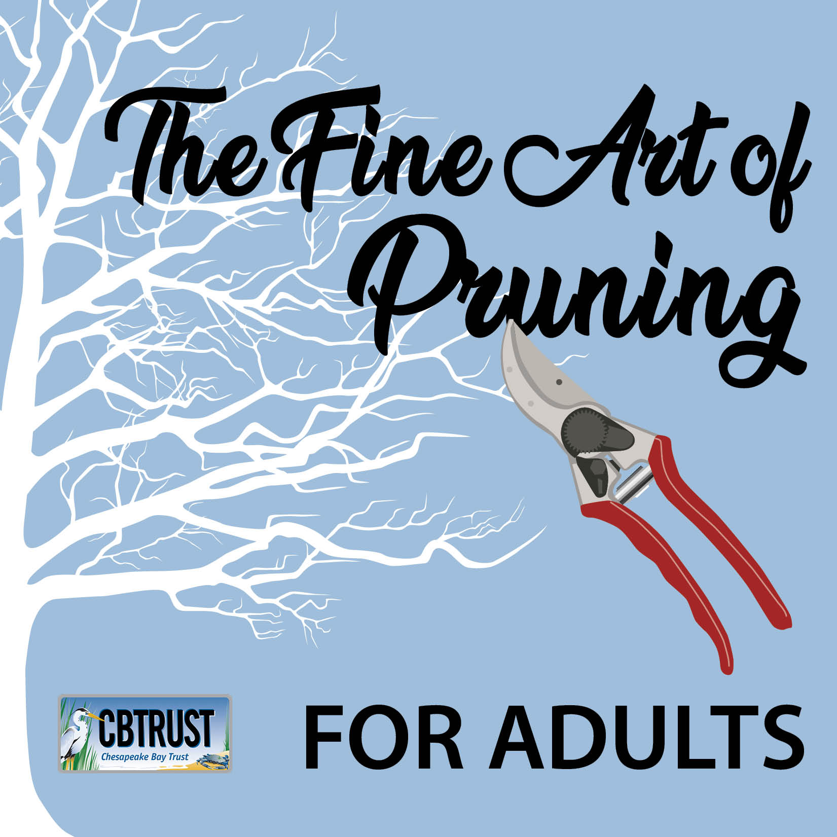 The Fine Art of Pruning