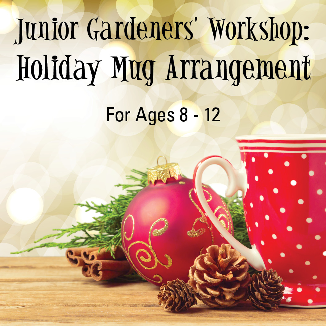 Junior Gardeners' Workshop: Holiday Mug Arrangement
