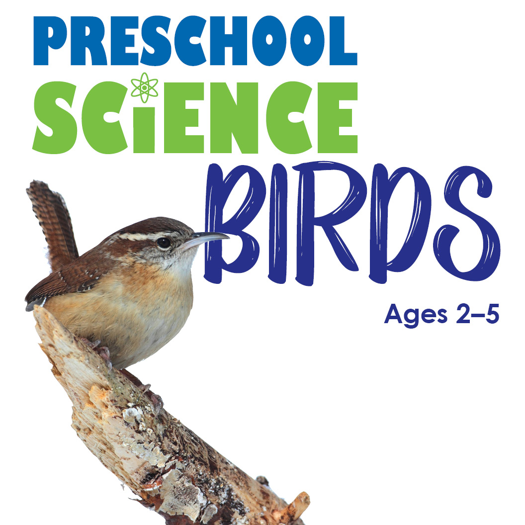 preschool science birds