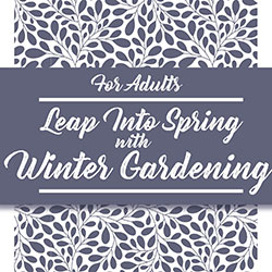 Leap Into Spring