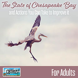 The State of Chesapeake Bay