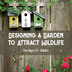 Designing a Garden to Attract Wildlife