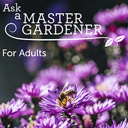 Ask A Master Gardener