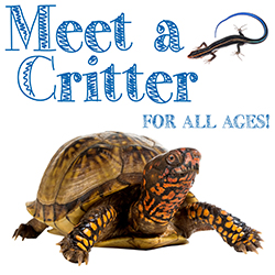 Meet a Critter