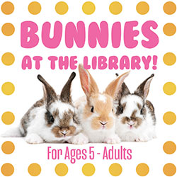 Bunnies at the Library