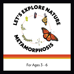 Let's Explore Nature: Metamorphosis