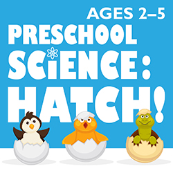 Preschool Science: Hatch