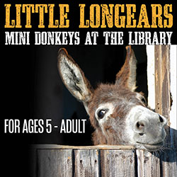 Mini Donkeys