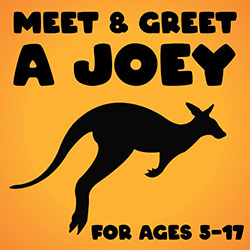 Meet and Greet a Joey