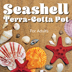 Seashell Terra-Cotta Pot