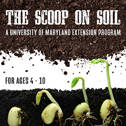 The Scoop on Soil