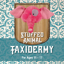 Stuffed Animal Taxidermy