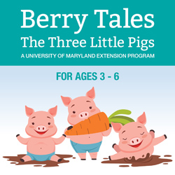 Berry Tales:The Three Little Pigs
