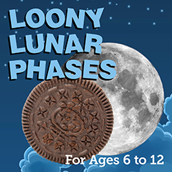 Loony Lunar Phases