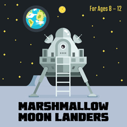 Marshmallow Moon Landers