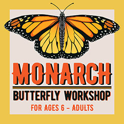 Monarch Butterfly Workshop