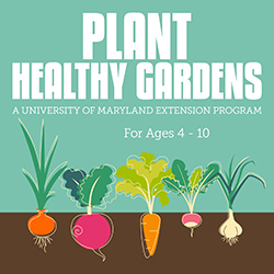 Plant Healthy Gardens