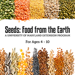 Seeds: Food from the Earth 