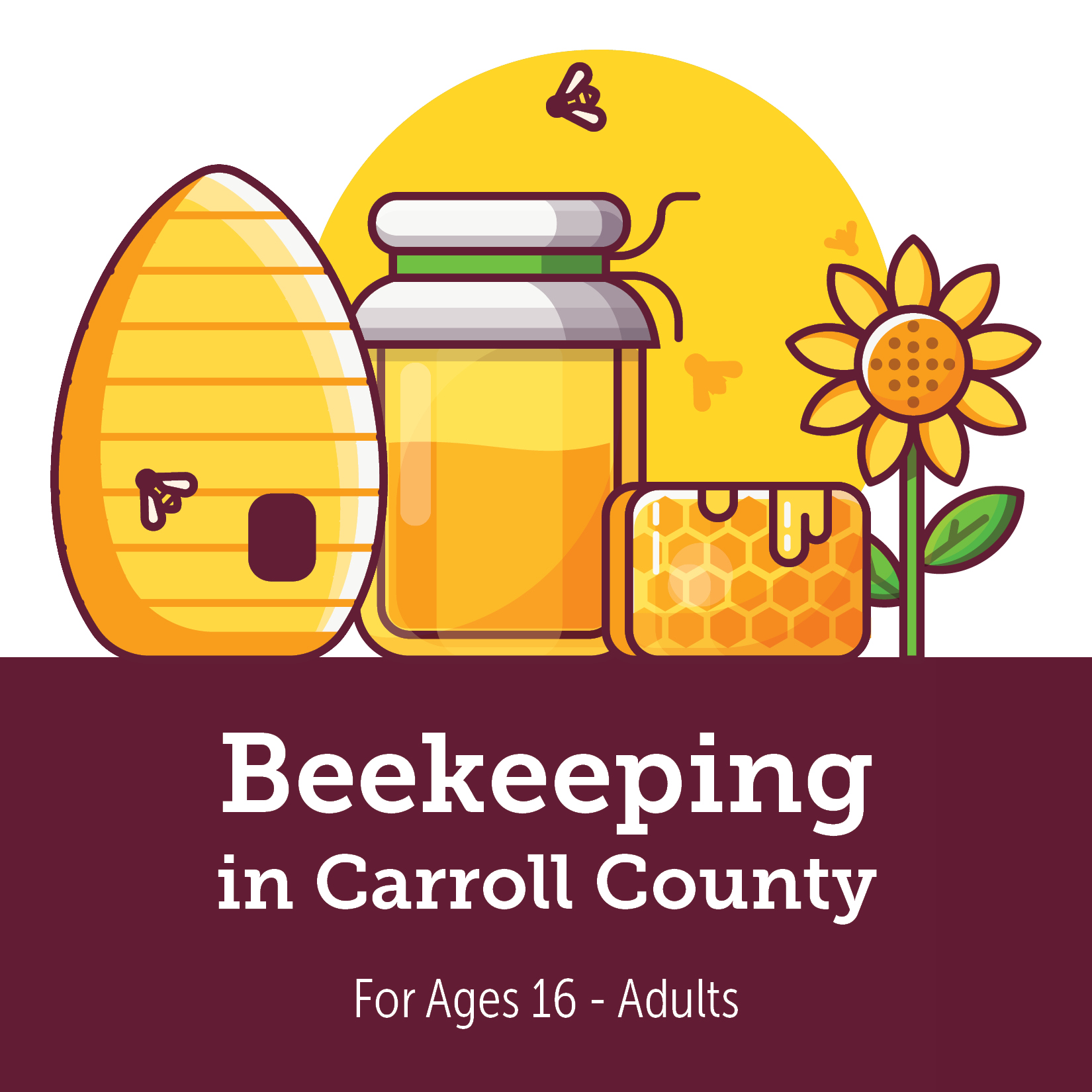 Beekeeping in Carroll County