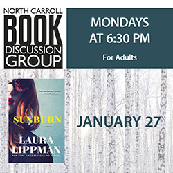 North Carroll Book Discussion Group: Sunburn