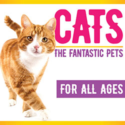 Cats: The Fantastic Pets