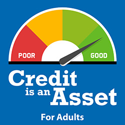 Credit Is an Asset