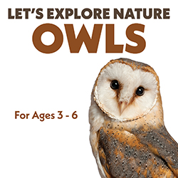 Let’s Explore Nature: Owls