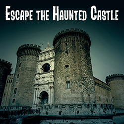 Escape the Haunted Castle