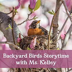 Backyard Birds Storytime with Ms. Kelley