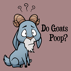 Do Goats Poop?