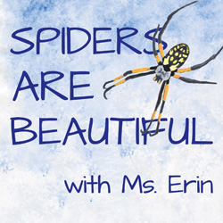 Spiders Are Beautiful with Ms. Erin