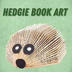 Hedgie Book Art