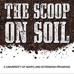 The Scoop on Soil