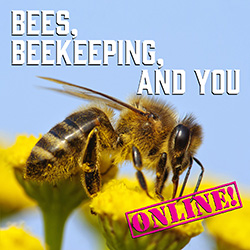 Bees, Beekeeping, and You - Online!