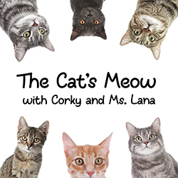  The Cat's Meow with Corky and Ms. Lana