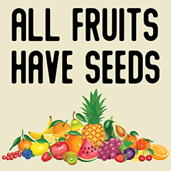All Fruits Have Seeds