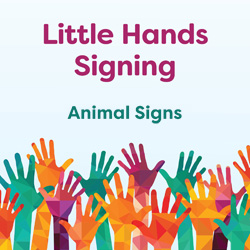 Little Hands Signing: Animal Signs