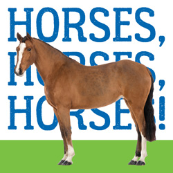 Horses, Horses, Horses!