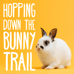 Hopping Down the Bunny Trail