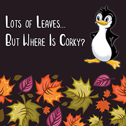 Lots of Leaves...But Where Is Corky?