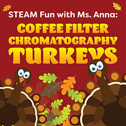 Coffee Filter Chromatography Turkeys