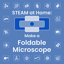 STEAM at Home: Make a Foldable Microscope