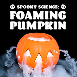 Spooky Science: Foaming Pumpkin