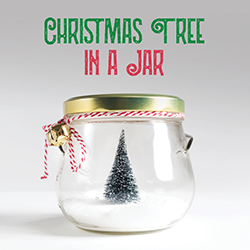 Christmas Tree in a Jar