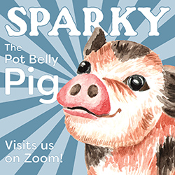 Sparky the Potbellied Pig Visits Us on Zoom!