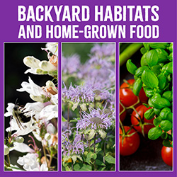 Backyard Habitats and Home-Grown Food