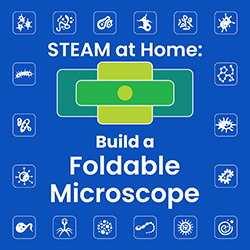 STEAM at Home: Build a Foldable Microscope