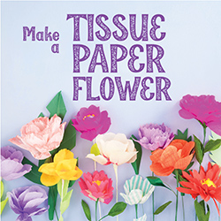 Make a Tissue Paper Flower