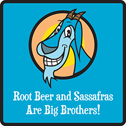 Root Beer and Sassafras Are Big Brothers!